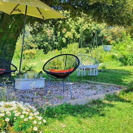 Agriturismo Podere Le Palaie Monterotondo  Экстерьер фото