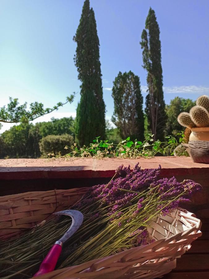 Agriturismo Podere Le Palaie Monterotondo  Экстерьер фото
