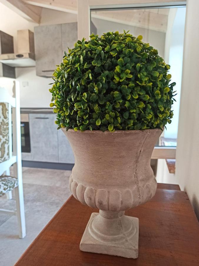 Agriturismo Podere Le Palaie Monterotondo  Экстерьер фото